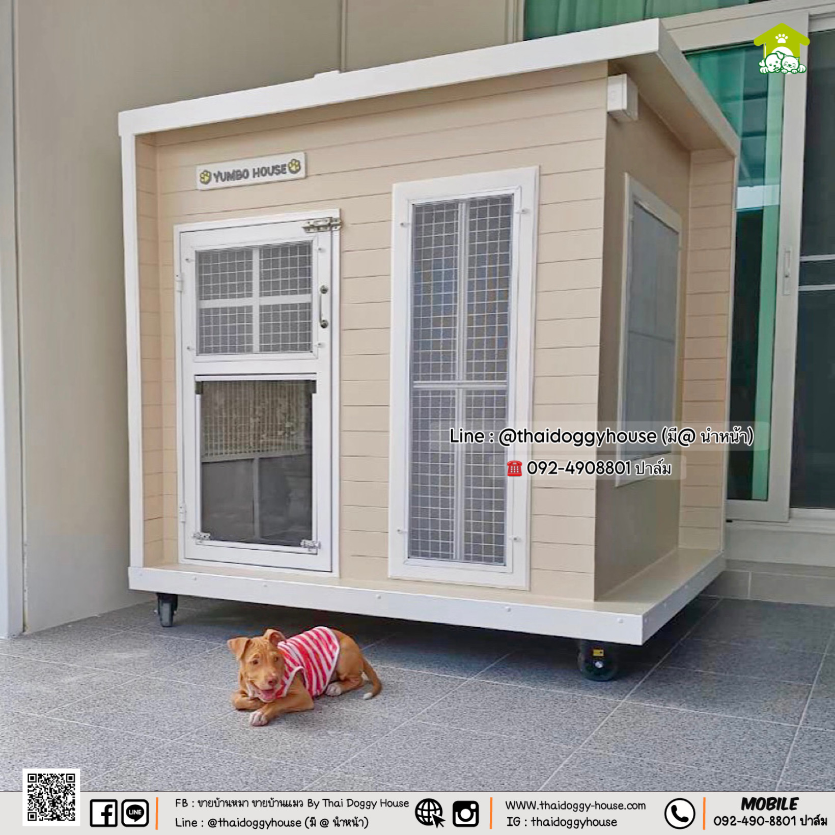 บ้านหมา บ้านแมว 𝐓𝐡𝐚𝐢 𝐝𝐨𝐠𝐠𝐲 𝐡𝐨𝐮𝐬𝐞 🐩🐕🐾 แบบบ้าน 𝐁𝐎𝐗 𝐒𝐓𝐘𝐋𝐄