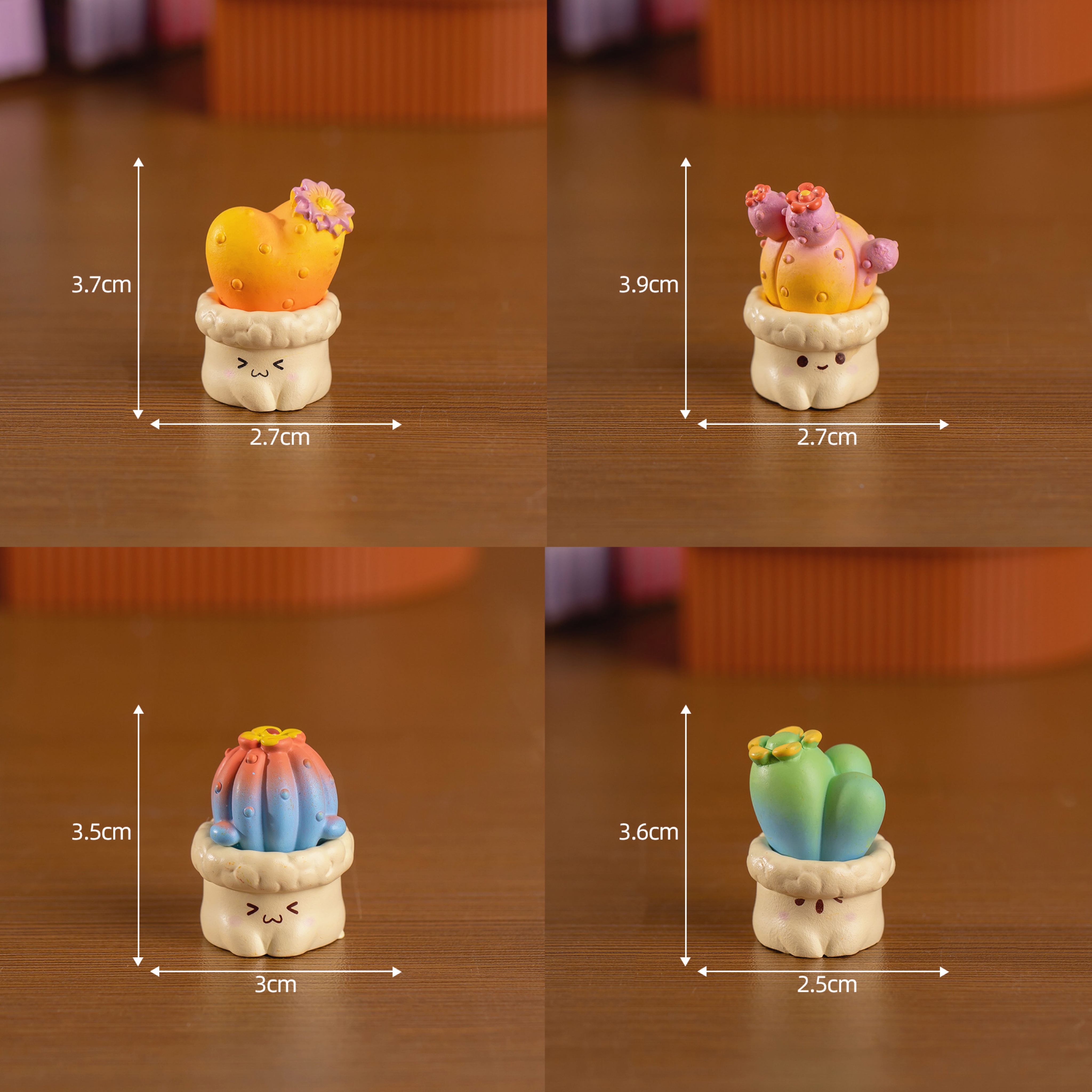 แคสตัส 4 ชิ้น