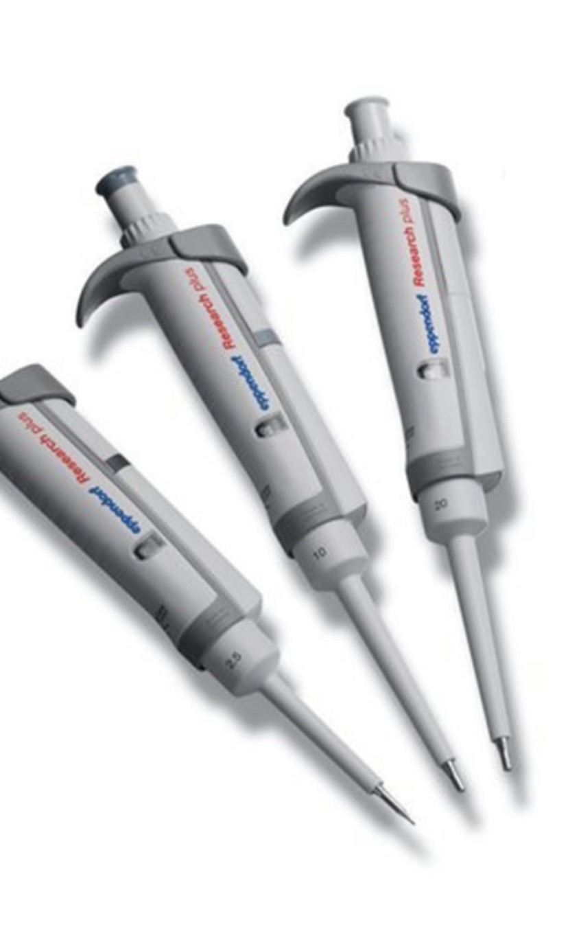 Micropipette 10 ul,200 ul, 1000 ul -Eppendorf