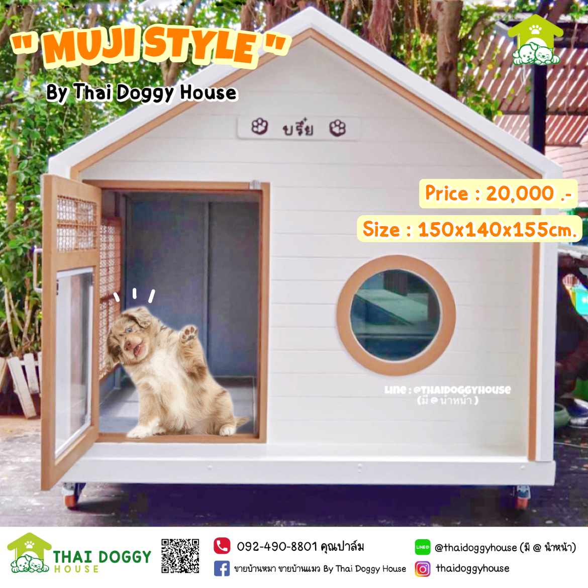 🏠 " 𝑴𝑼𝑱𝑰 𝑺𝑻𝒀𝑳𝑬 " บ้านหมา บ้านแมว ที่เน้นความเรียบง่าย สบายตา มีกลิ่นอายความเป็นญี่ปุ่น 🌸 พร้อมกับโทนสีที่ลงตัว ไว้มุมไหนของบ้านก็สวยงาม 🐈🦮
