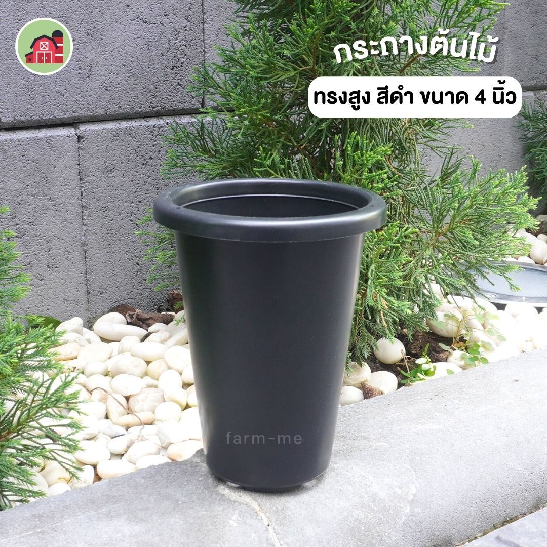 กระถางต้นไม้ ทรงสูง สีดำ ขนาด 4 นิ้ว