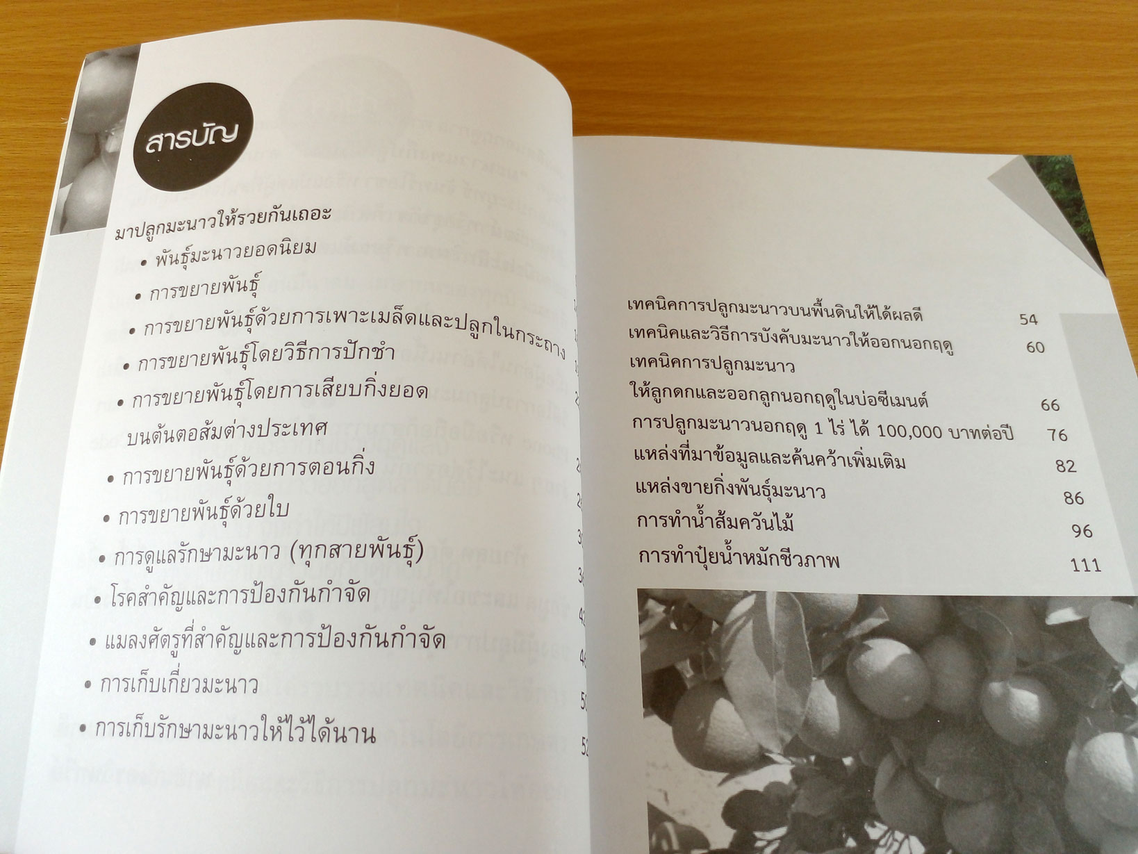 รอบรั้ว รอบรู้ การปลูกมะนาวให้รวย