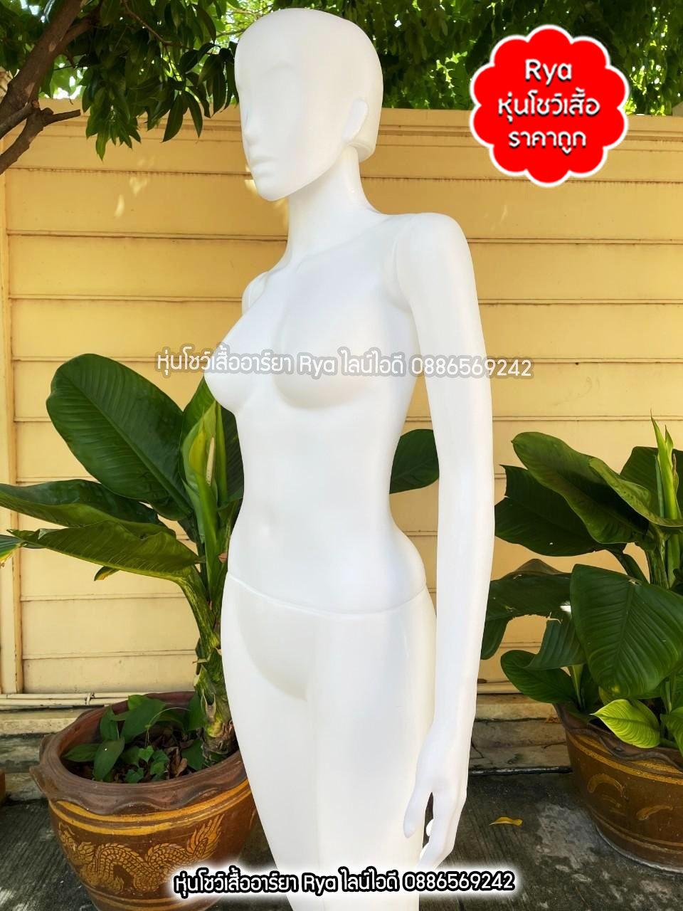 หุ่นเต็มตัวผู้หญิงพร้อมฐานวาง ถอดประกอบแขนขาและฐานวางได้ค่ะ อก33" เอว25" สะโพก34" สูง162ซม.