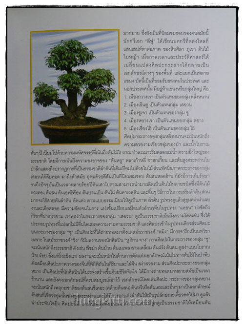 วินัย ปรัชญาธเนศกุล 021533 (1)