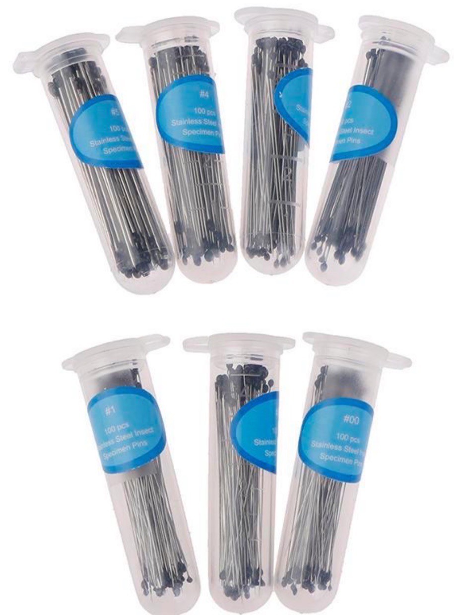 เข็มปักแมลง Needle insect Pin, 100 pcs/Pack