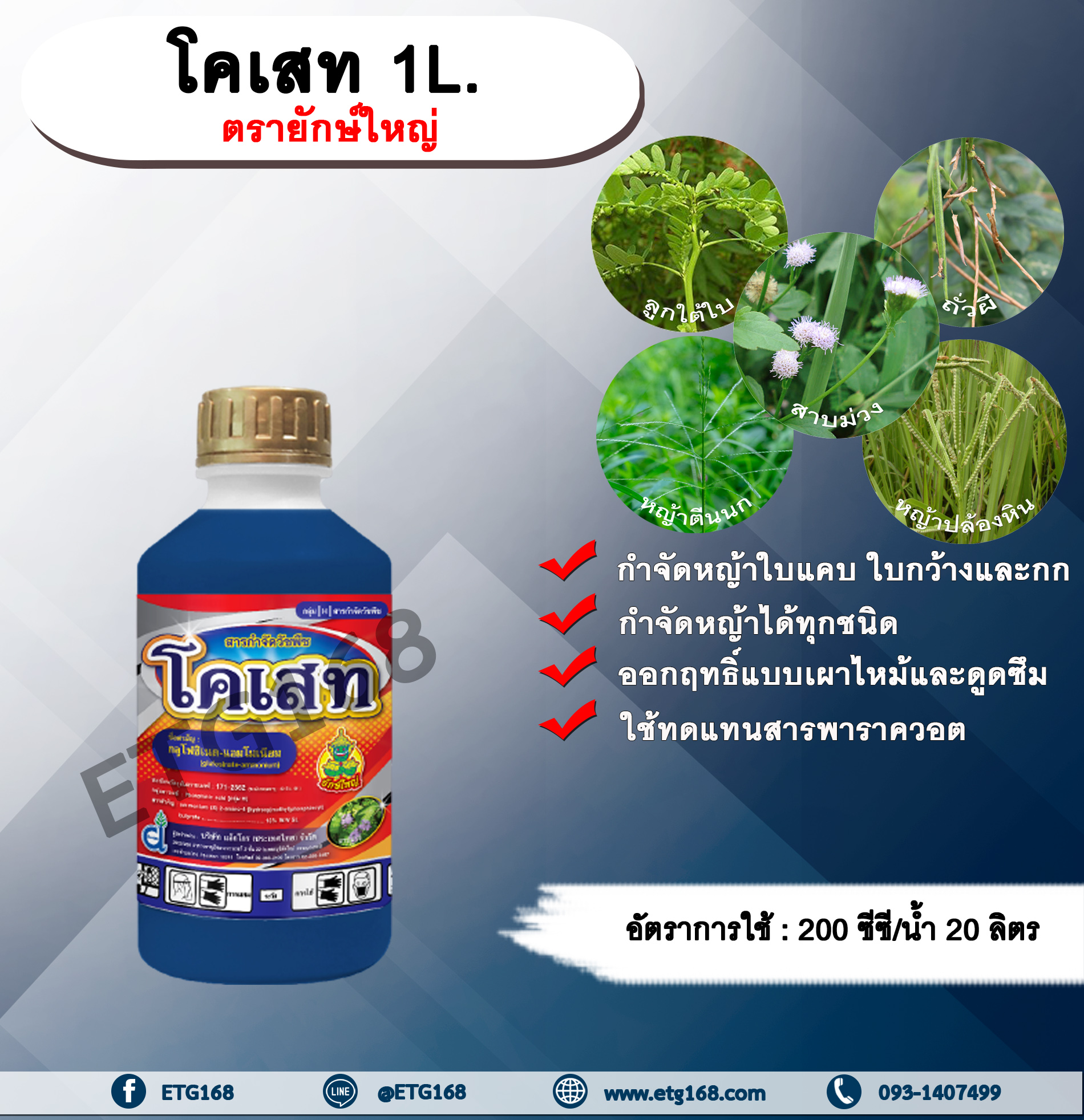 โคเสท 1L. ตรายักษ์ใหญ่ กลูโฟซเนตแอมโมเนียม สารกำจัดวัชพืช กำจัดหญ้าใบแคบ ใบกว้าง กก หญ้าทุกชนิด