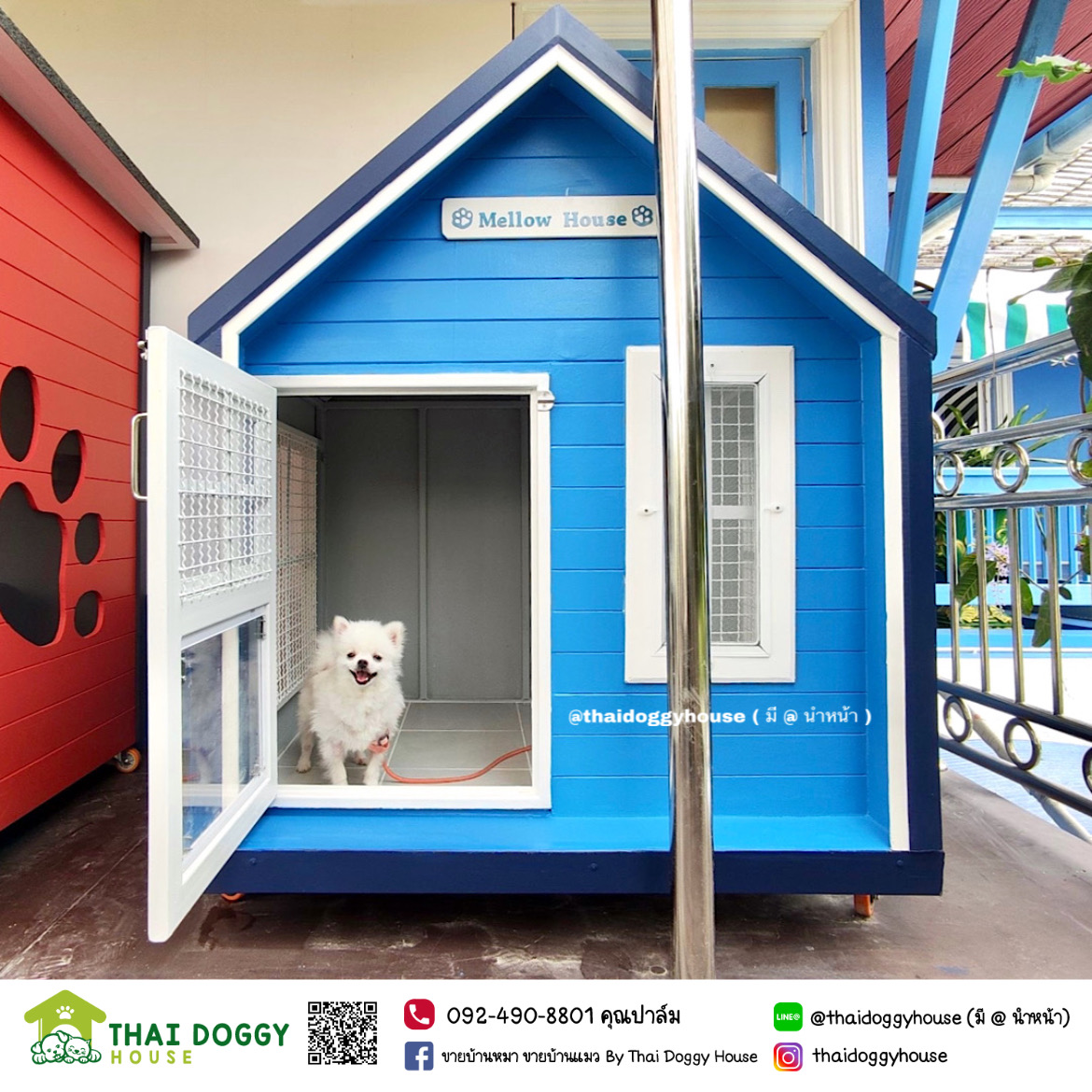 บ้านหมา บ้านแมว บ้านน็อคดาวน์ บ้านสัตว์เลี้ยง แบบพัดลมมีตะแกรงเหล็ก มุ้งลวดทุกหลัง By Thai Doggy House