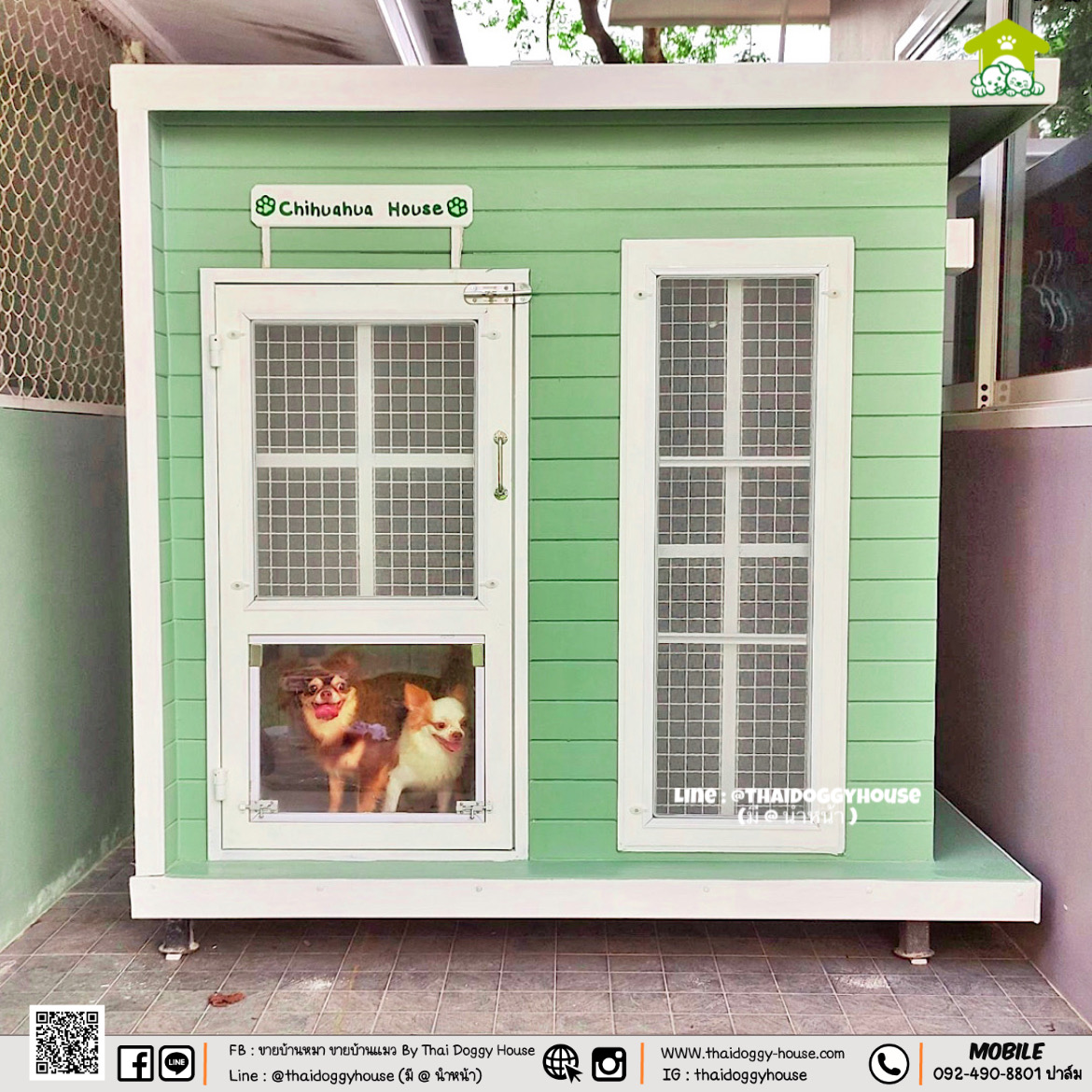 บ้านหมา บ้านแมว "𝐁𝐎𝐗 𝐒𝐓𝐘𝐋𝐄" โทนสีพาสเทล น่ารักมากๆ 💚💛