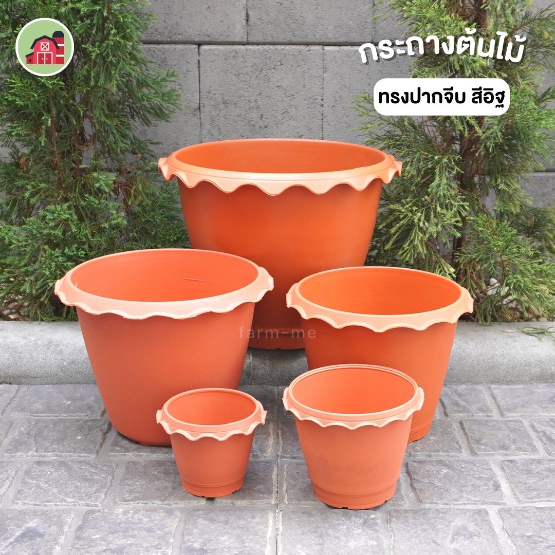 กระถางต้นไม้ ทรงปากจีบ สีอิฐ