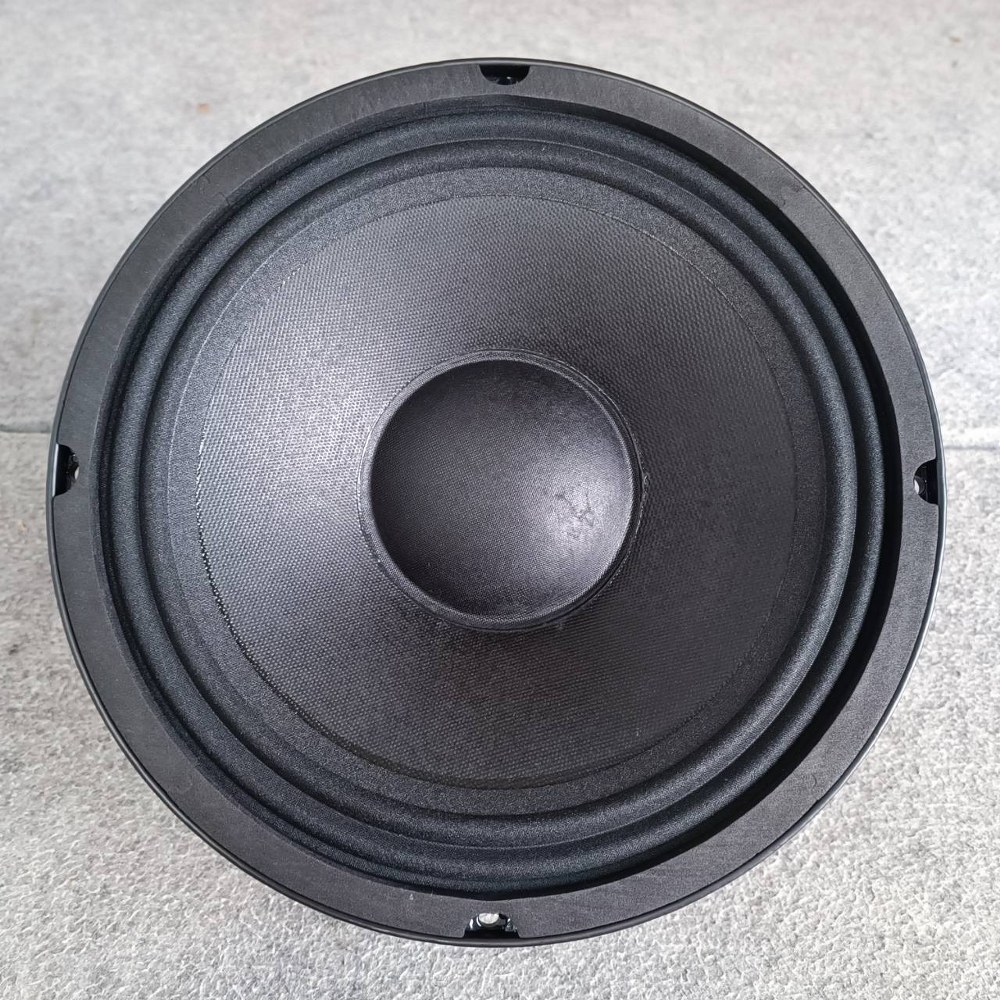 NPE PRO-10 ดอกลำโพง 10นิ้ว โครงหล่อ ลำโพง ขนาด 10 นิ้ว PRO 10 กำลังขับ 200 วัตต์ ที่ 8 โอห์ม PRO10 เอไอ-ไพศาล