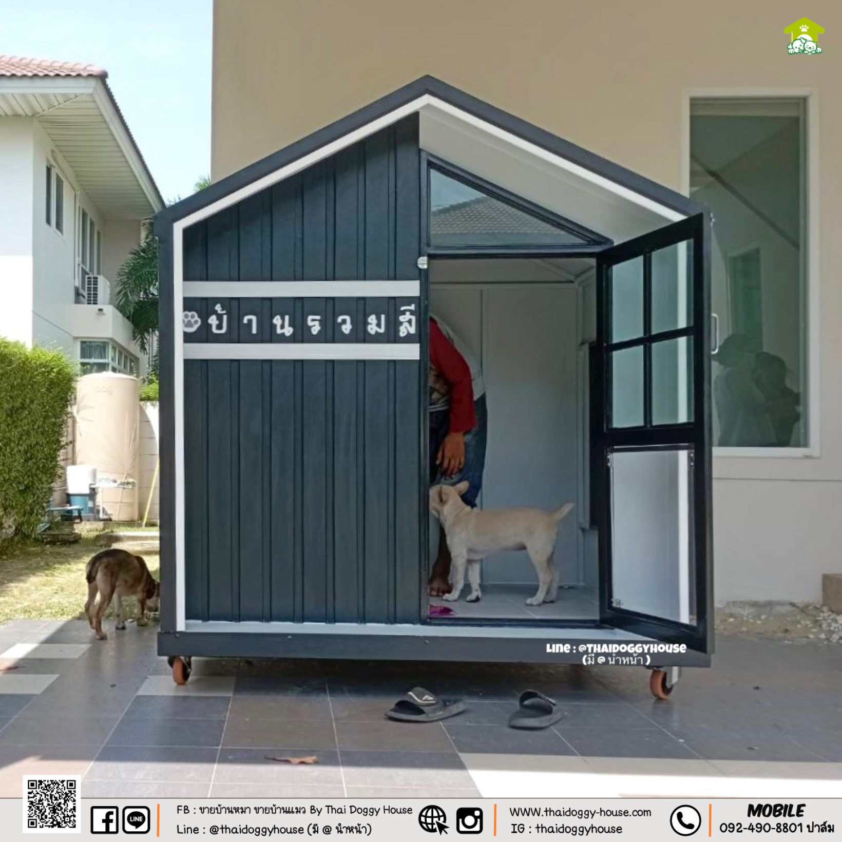 ✨ 𝗠𝗜𝗡𝗜𝗠𝗔𝗟 𝗦𝗧𝗬𝗟𝗘 ✨ บ้านหมา บ้านแมว " 𝐓𝐇𝐀𝐈 𝐃𝐎𝐆𝐆𝐘 HOUSE