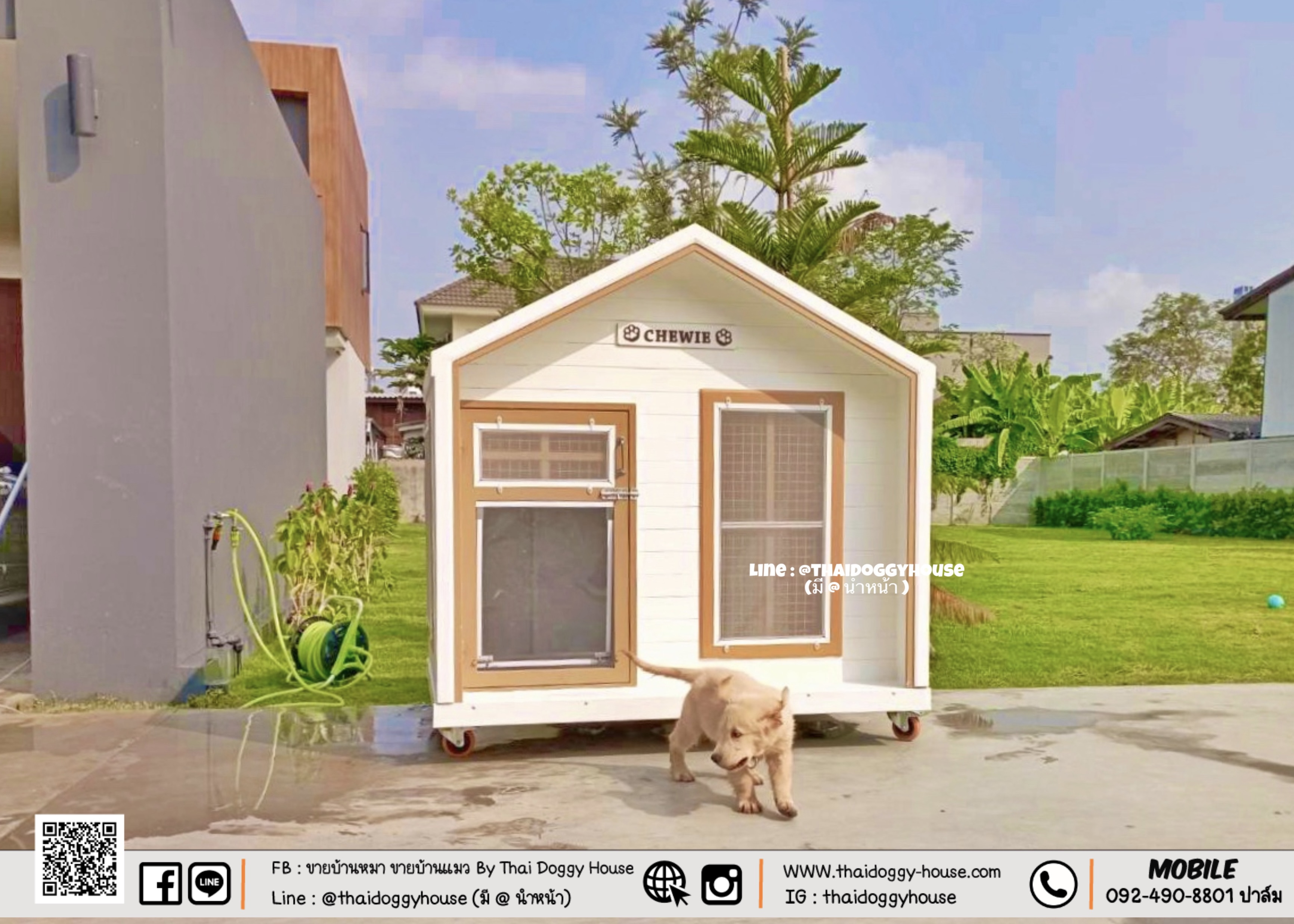 บ้านหมา บ้านแมว ตะแกรงเหล็ก มุ้งลวด