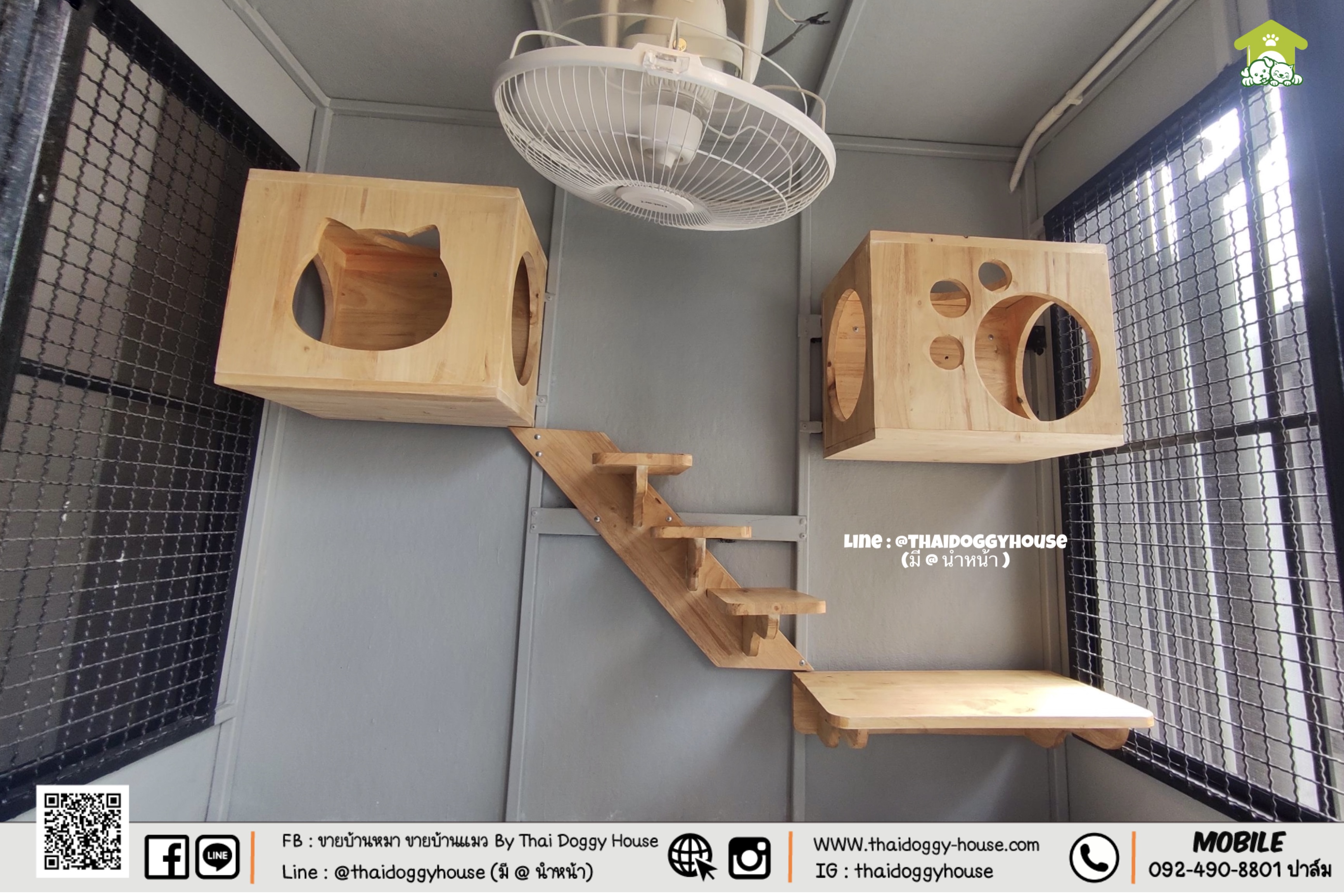 บ้านหมา บ้านแมว " 𝐁𝐎𝐗 𝐒𝐓𝐘𝐋𝐄 𝐁𝐘 𝐓𝐇𝐀𝐈 𝐃𝐎𝐆𝐆𝐘 𝐇𝐎𝐔𝐒𝐄 " &#x