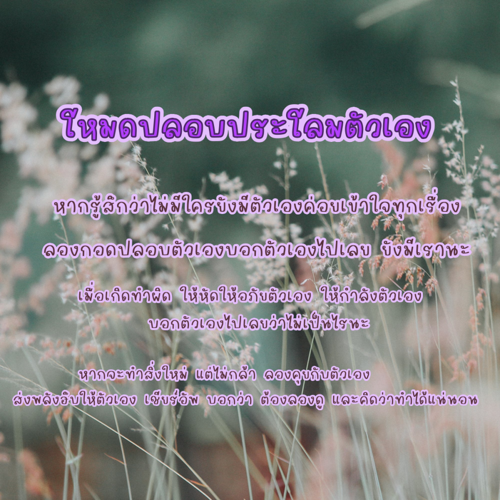 ฟอนต์นูร่าดารี