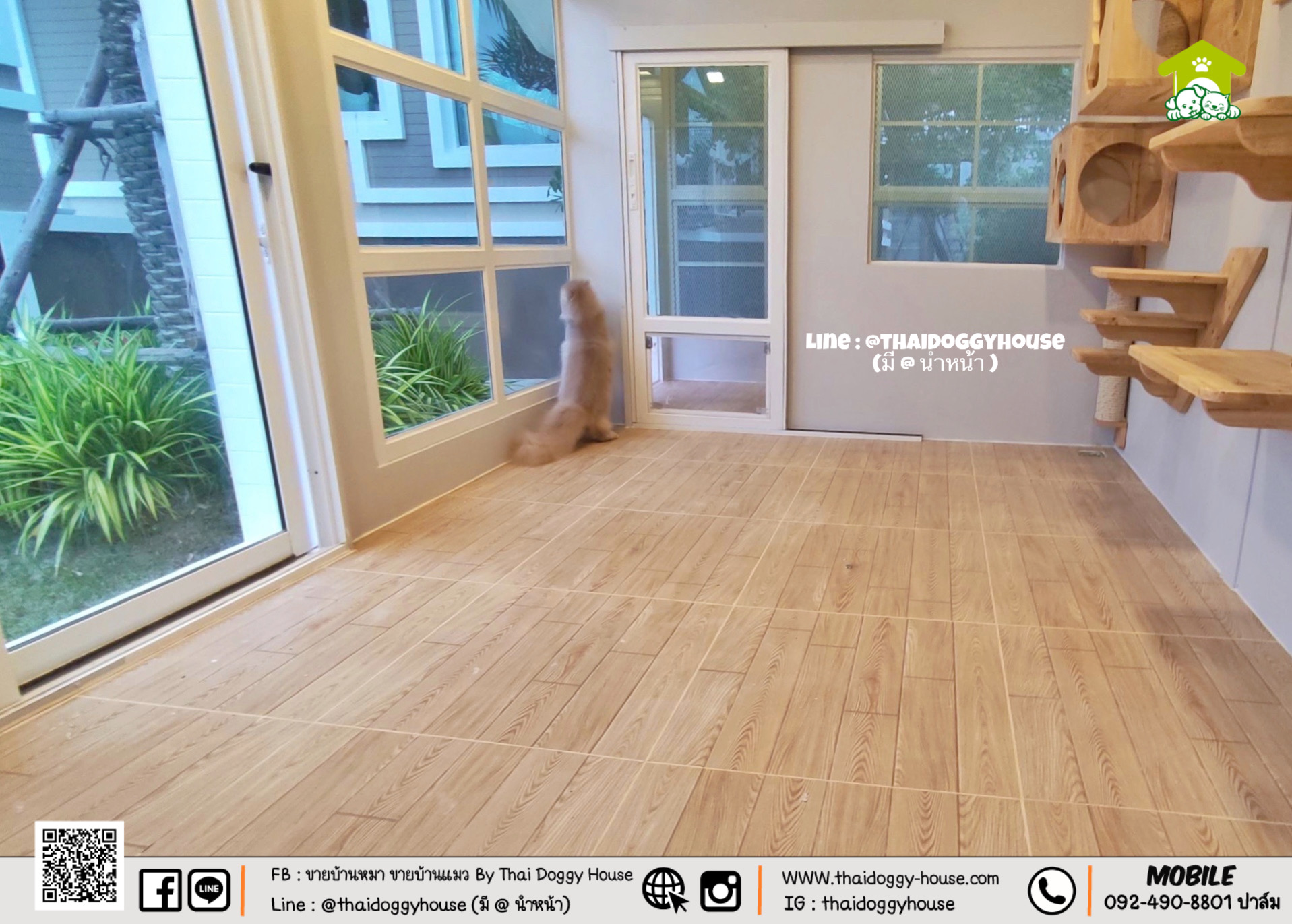 บ้านแมวติดแอร์ " 𝐍𝐎𝐑𝐃𝐈𝐂 𝐒𝐓𝐘𝐋𝐄 " ฟังก์ชั่นครบ หลังใหญ่ กระจกบานใหญ่เปิดรับแสงธรรมชาติได้ดี โทนบ้านสีขาวทำให้ดูเรียบง่าย สบายตามากขึ้น