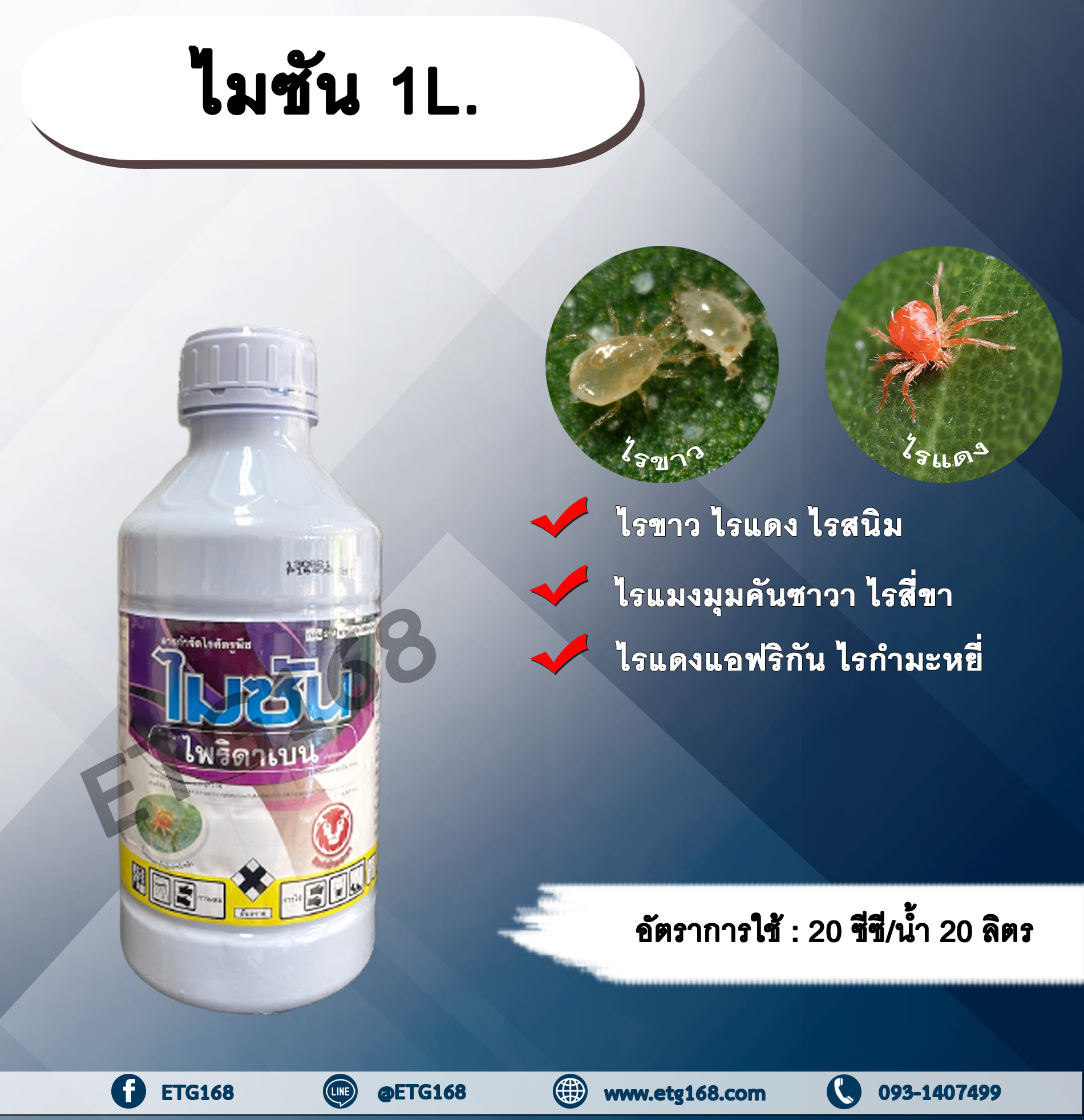 ไมซัน 1L. ไพริดาเบน สารกำจัดไร ไรขาว ไรแดง ไรแมงมุมคันซาวา ไรแดงแอฟริกัน ไรสนิมส้ม ไรสี่ขา ไรกำมะหยี่