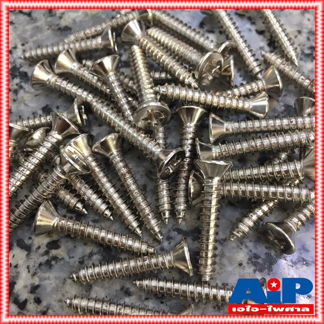 ถุง20ตัว สกรู FH 8X1" น็อต น็อตหัวแบนยาว1นิ้ว น็อตหัวแบน สกรูหัวแบน น็อตเกลียวปล่อย สกรู8X1นิ้ว น็อต8X1นิ้ว เอไอ-ไพศาล