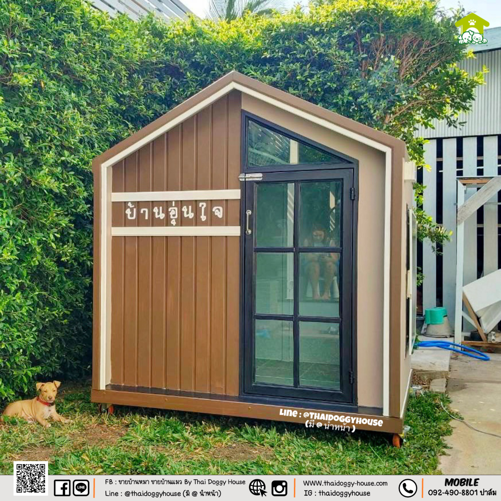 𝗠𝗜𝗡𝗜𝗠𝗔𝗟 𝗦𝗧𝗬𝗟𝗘 ✨ 🏡 บ้านหมา บ้านแมว " 𝐓𝐇𝐀𝐈 𝐃𝐎𝐆𝐆𝐘 𝐇𝐎US