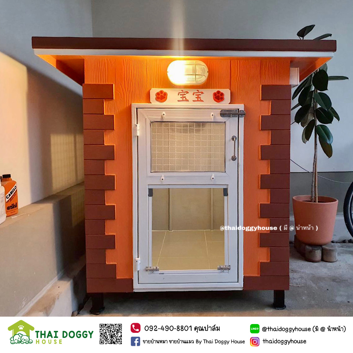 บ้านหมา บ้านแมว หลังเล็กน่ารักๆ " BOX STYLE"