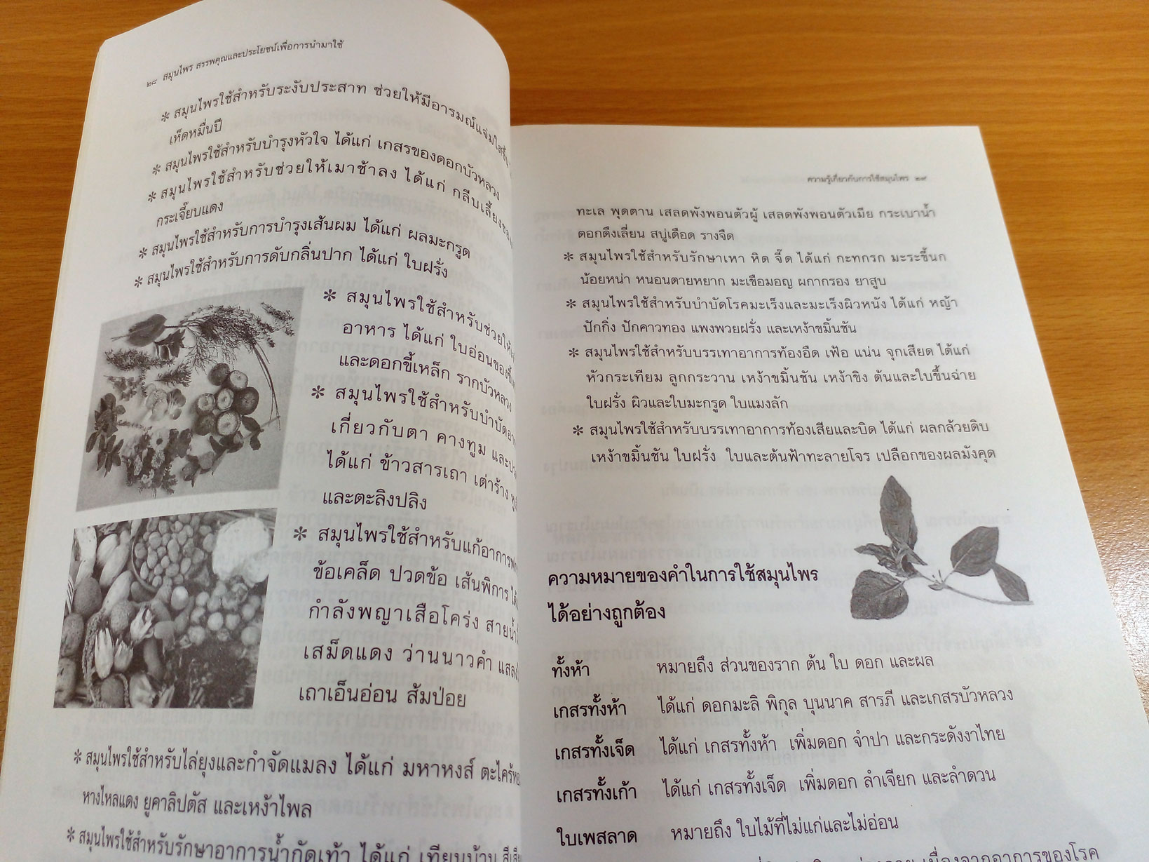 สมุนไพร สรรพคุณและประโยชน์เพื่อการนำไปใช้