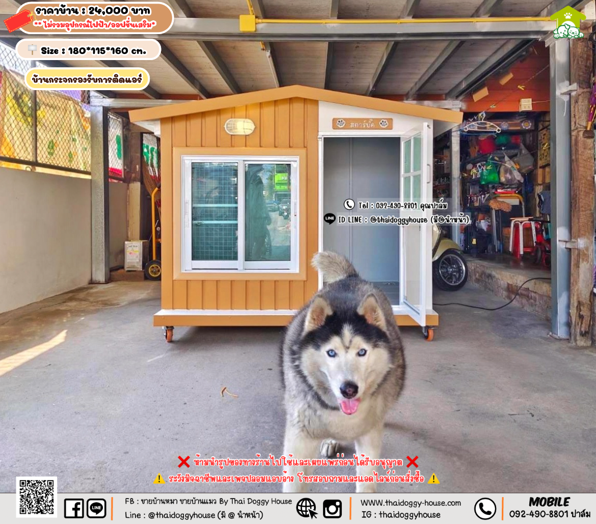 บ้านหมา บ้านแมว 𝐓𝐡𝐚𝐢 𝐝𝐨𝐠𝐠𝐲 𝐡𝐨𝐮𝐬𝗲