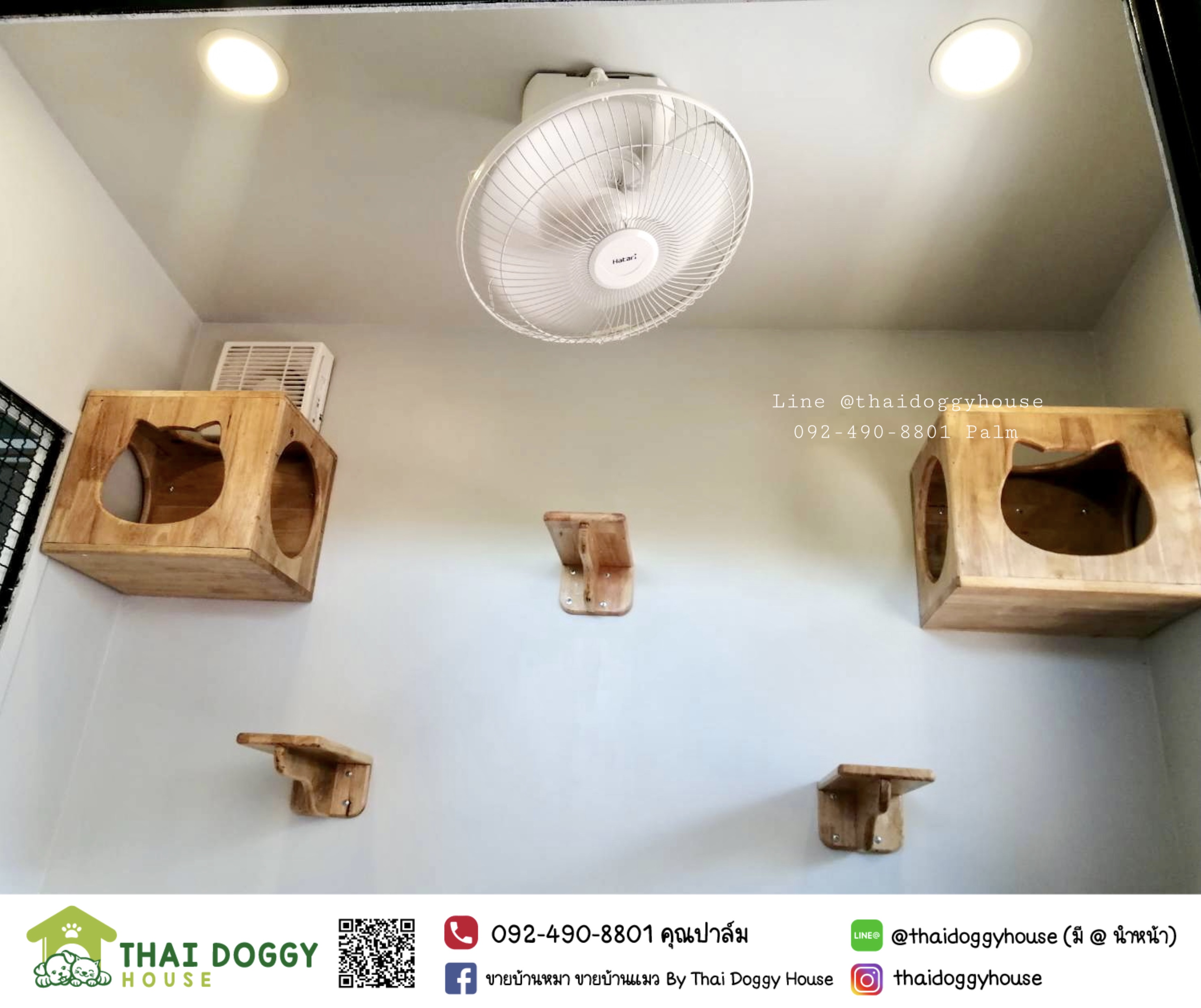 บ้านแมว โปร่งสบาย ติดตั้งของเล่นแมวเพิ่มได้