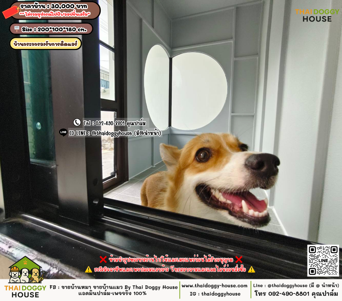 บ้านหมา บ้านแมว 𝐓𝐡𝐚𝐢 𝐝𝐨𝐠𝐠𝐲 𝐡𝐨𝐮𝐬𝗲