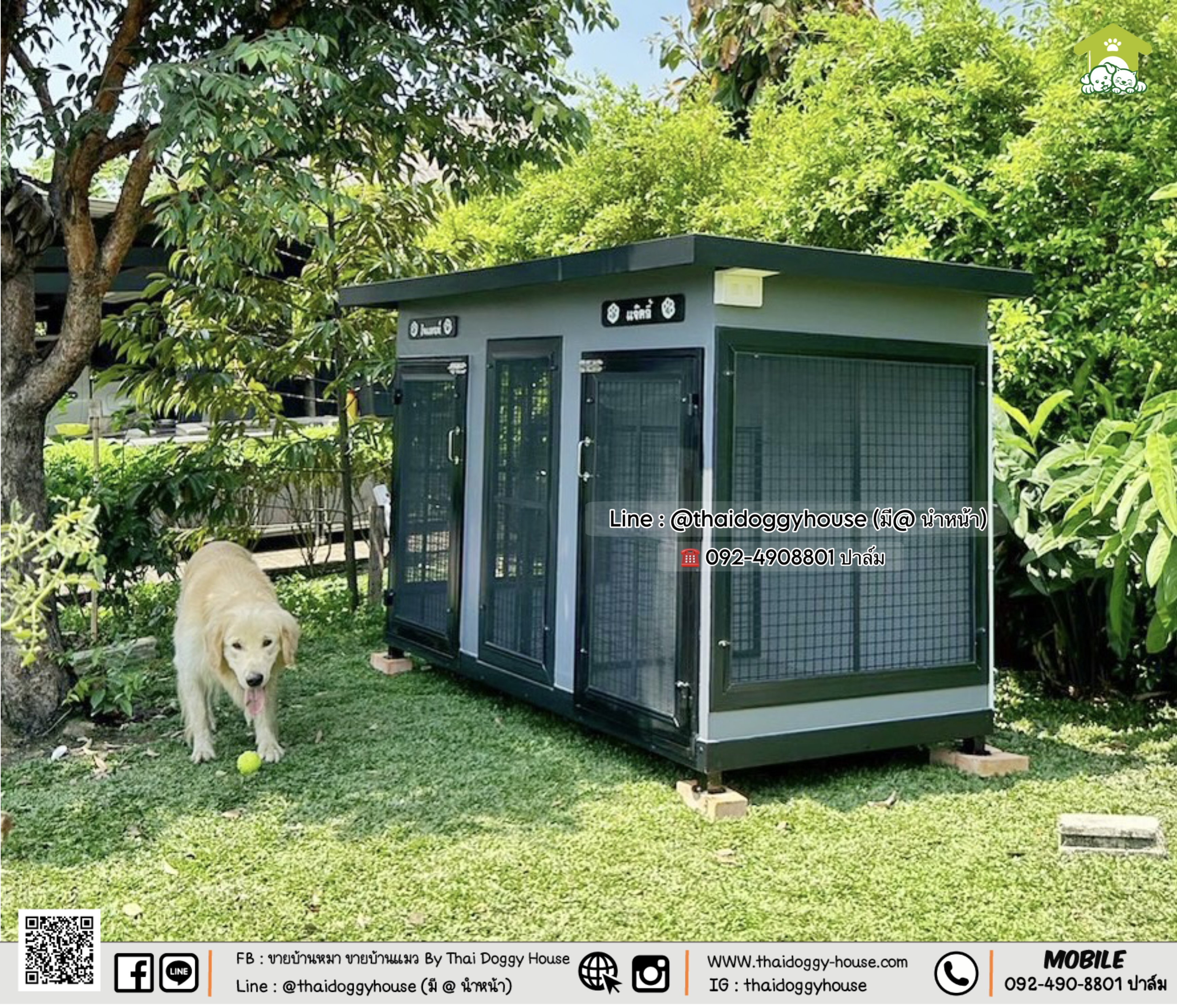 บ้านหมา บ้านแมว " 𝐁𝐎𝐗 𝐒𝐓𝐘𝐋𝐄 𝐁𝐘 𝐓𝐇𝐀𝐈 𝐃𝐎𝐆𝐆𝐘 𝐇𝐎𝐔𝐒𝐄