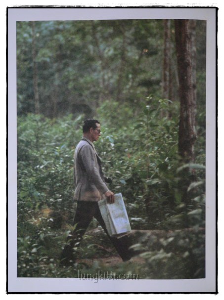 พระภูมิพลมหาราช 017512 (1)