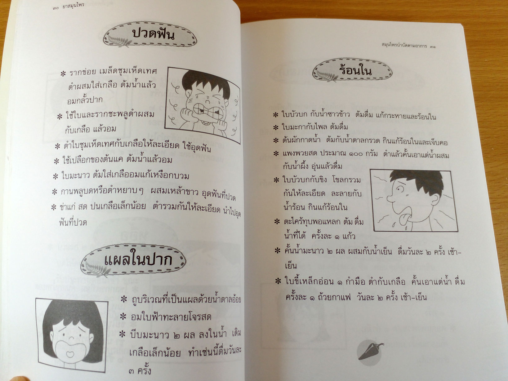 Herbal Medicine ยาสมุนไพร รักษาตามอาการตั้งแต่ศีรษะจรดเท้า