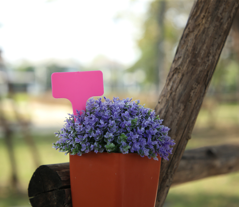 ป้ายชื่อปักตัว T สีสรร