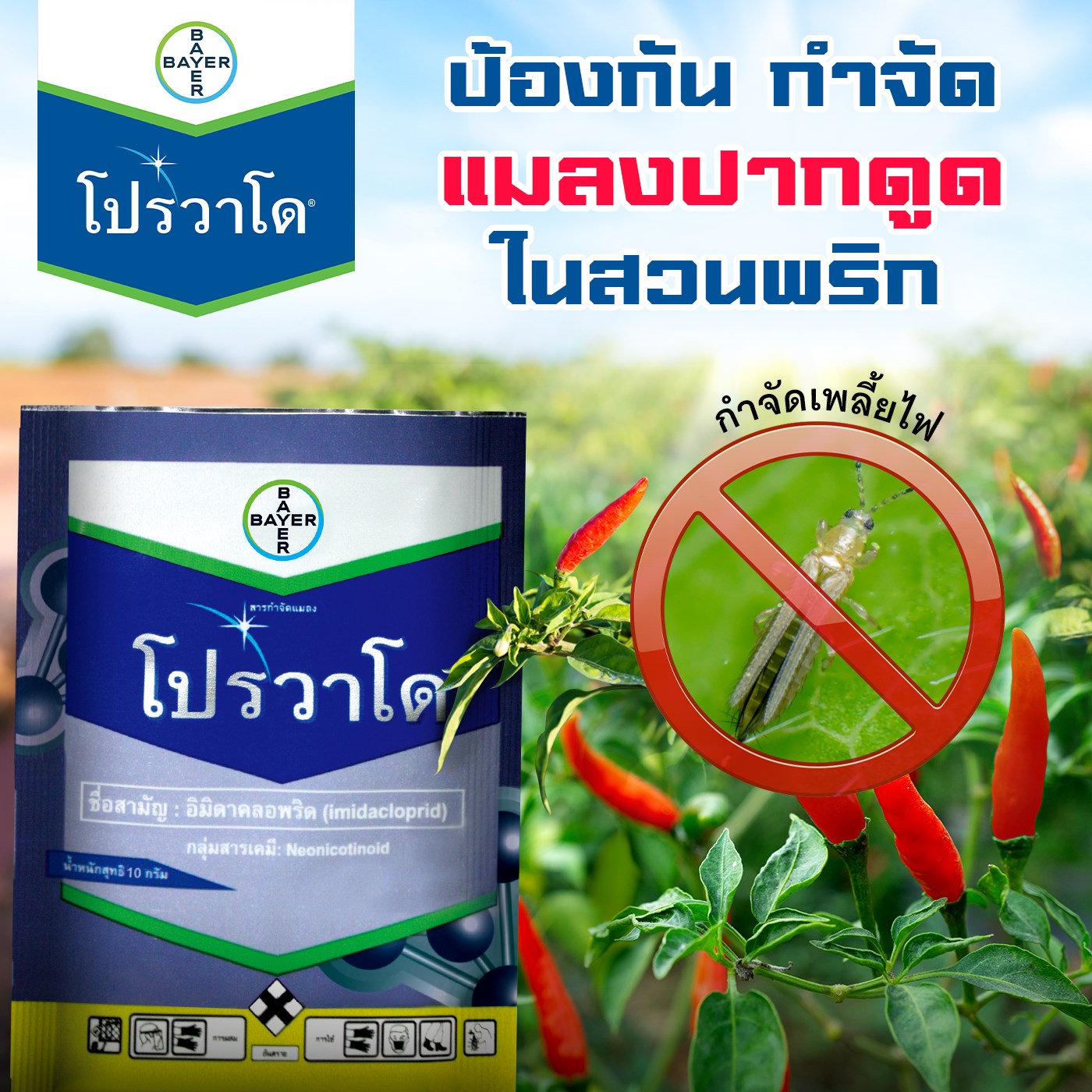 โปรวาโด 10g. อิมิดาโคลพริด สารกำจัดแมลง กำจัดเพลี้ยไฟ เพลี้ยอ่อน เพลี้ยแป้ง เพลี้ยกระโดด แมลงหวี่ขาว หนอนชอนใบ ดูดซึม