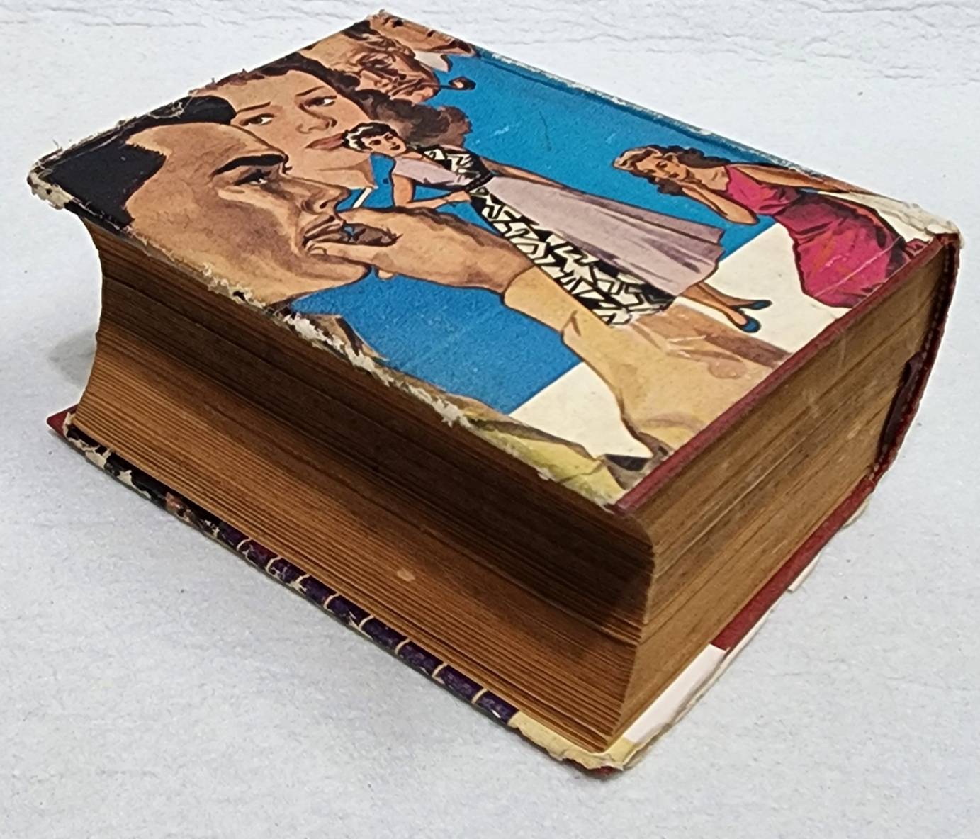 โดมผู้จองหอง (เล่มเดียวจบ) / ก. สุรางคนางค์ SKU-09954 2