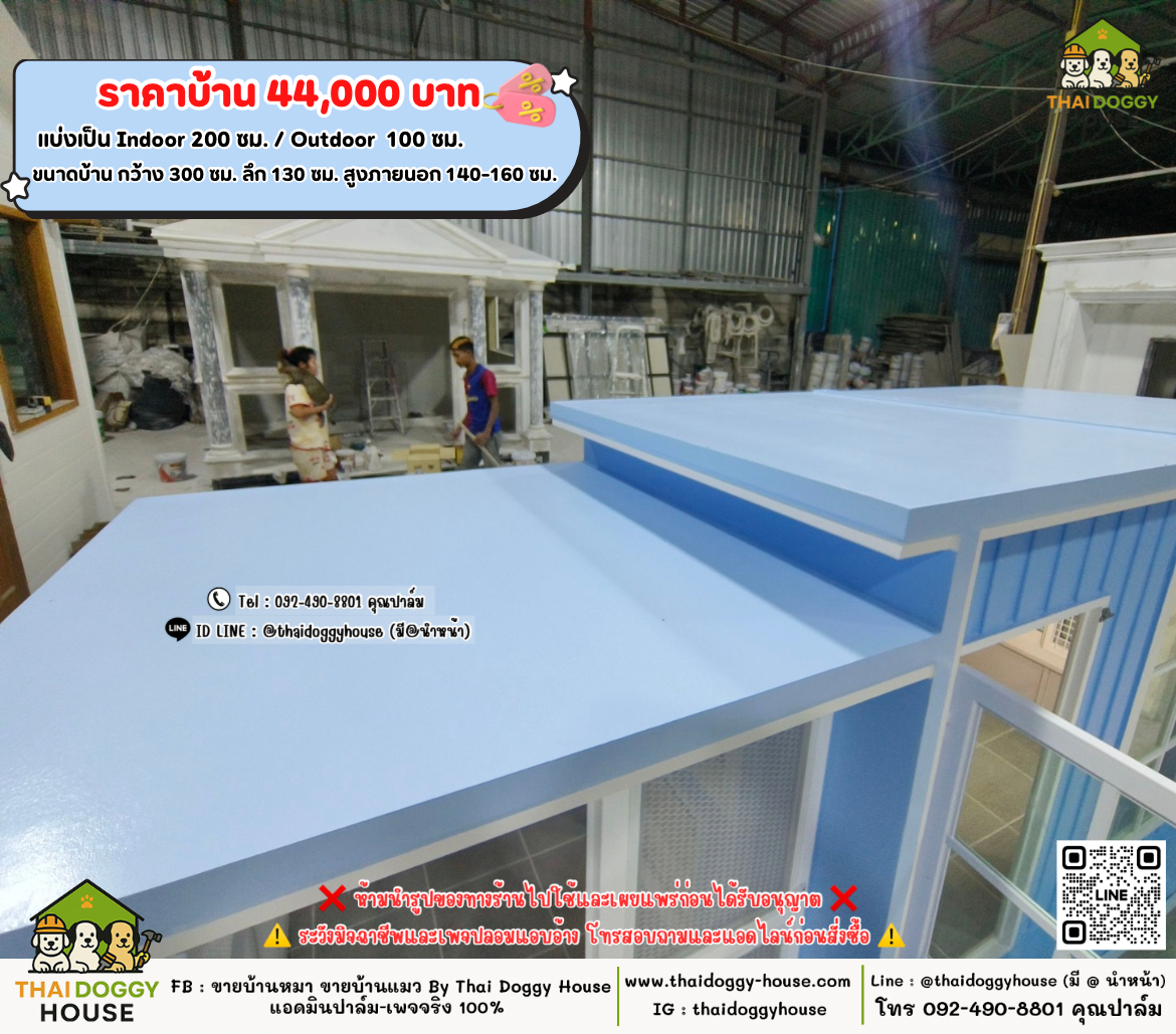 บ้านหมา บ้านแมว 𝐓𝐡𝐚𝐢 𝐝𝐨𝐠𝐠𝐲 𝐡𝐨𝐮𝐬𝗲