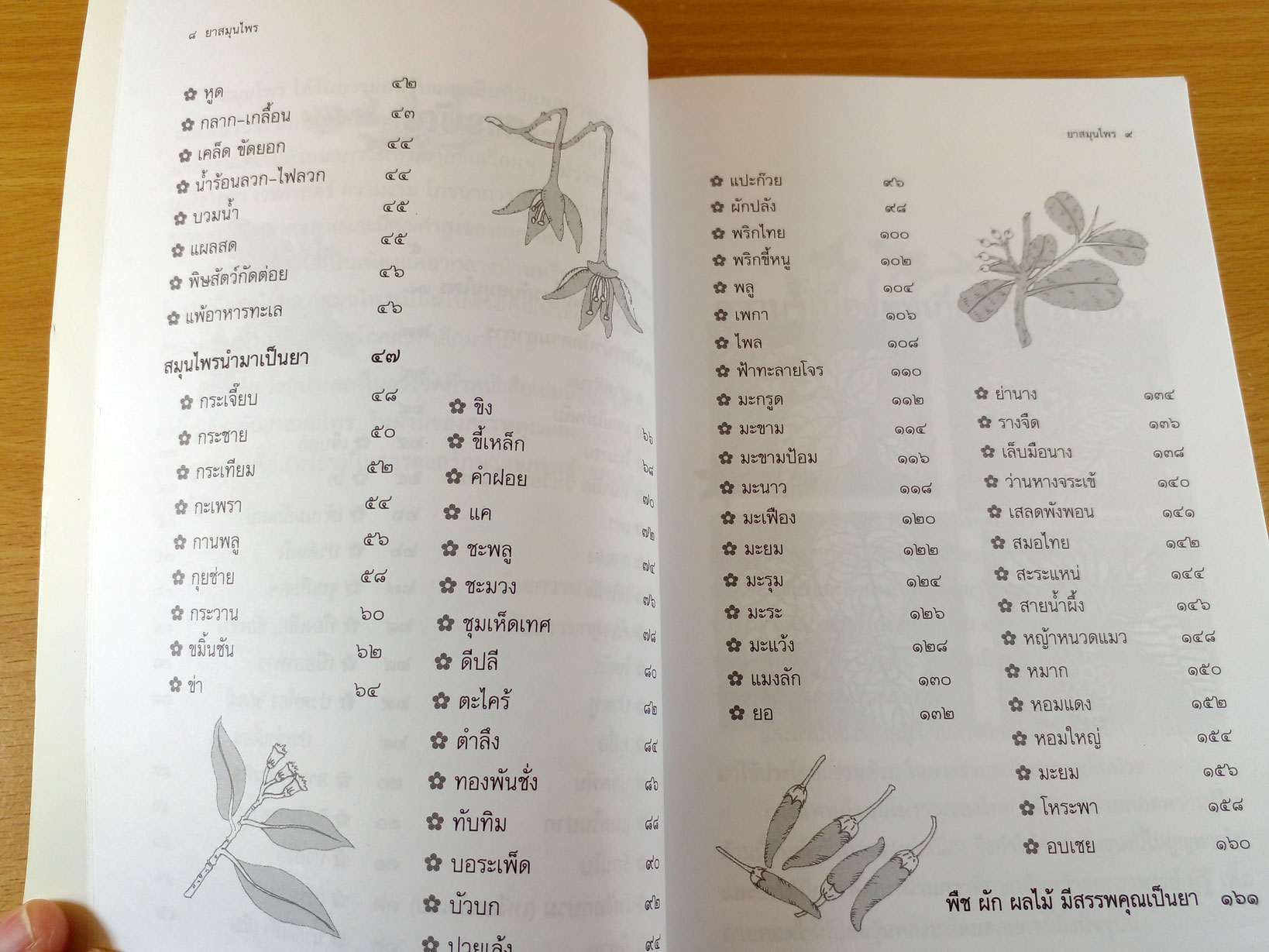 Herbal Medicine ยาสมุนไพร รักษาตามอาการตั้งแต่ศีรษะจรดเท้า