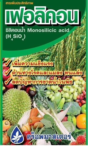 เฟอลิคอน : 12 ขวด x 1 กิโลกรัม ซิลิคอนน้ำ ทนแล้ง ลดปัญหาการขาดน้ำในพืช เพิ่มความแข็งแรง ต้านทานโรคและแมลง ปรับสภาพดิน