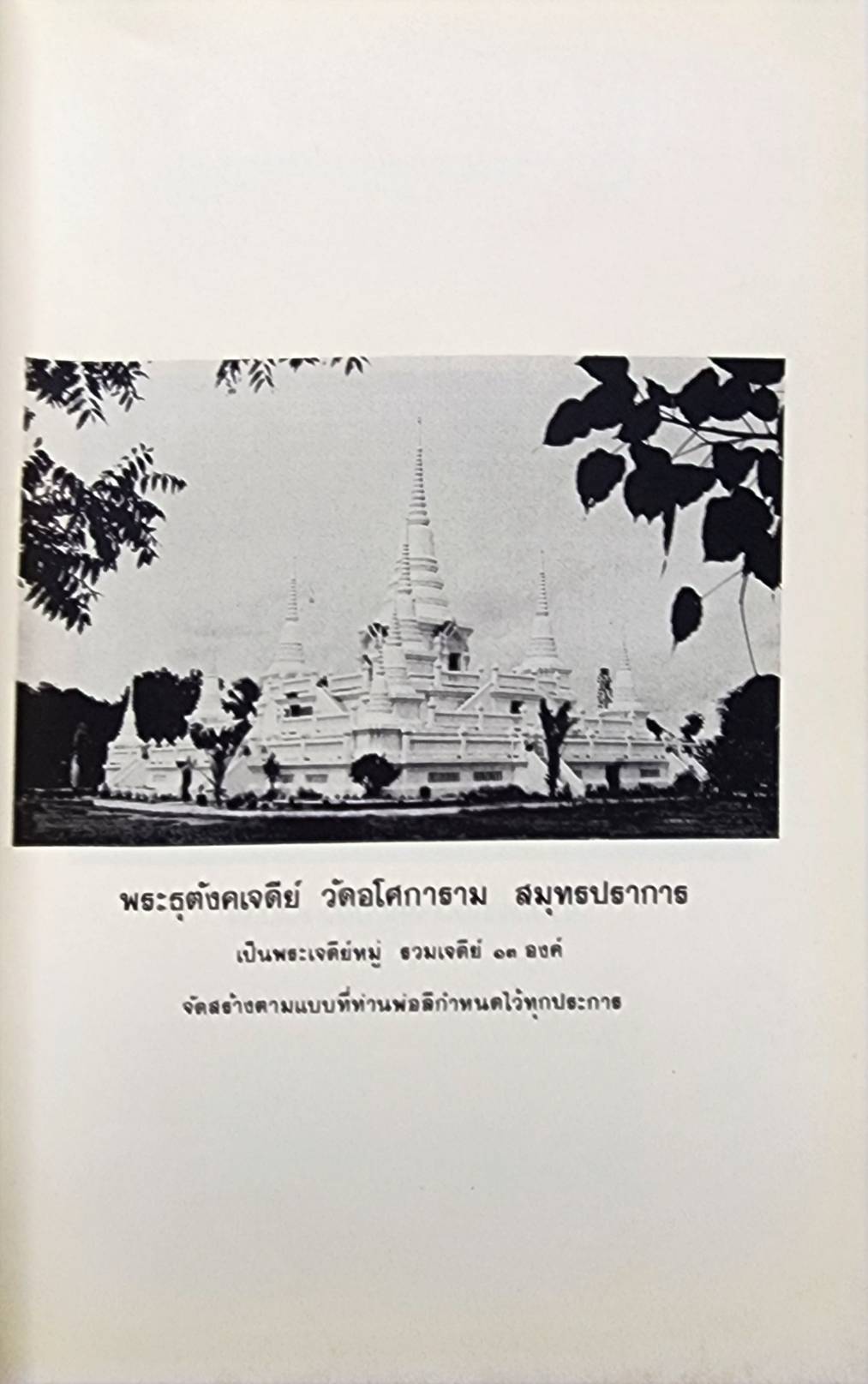 ชีวประวัติพระสุทธิธรรมรังสีคัมภีรเมธาจารย์ (พระอาจารย์ลี ธมฺมธโร) 027359