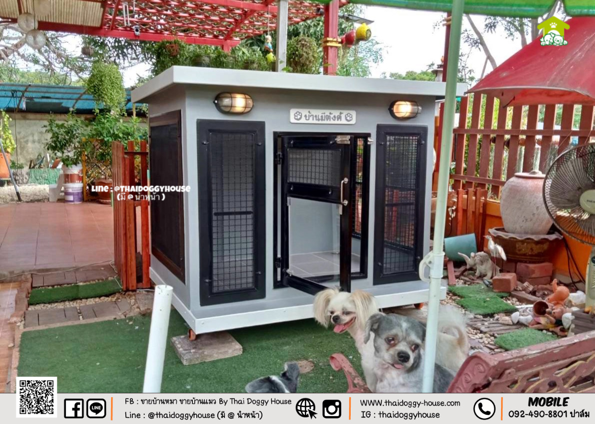 บ้านหมา บ้านแมว " 𝐁𝐎𝐗 𝐒𝐓𝐘𝐋𝐄 𝐁𝐘 𝐓𝐇𝐀𝐈 𝐃𝐎𝐆𝐆𝐘 𝐇𝐎𝐔𝐒𝐄 " &#x