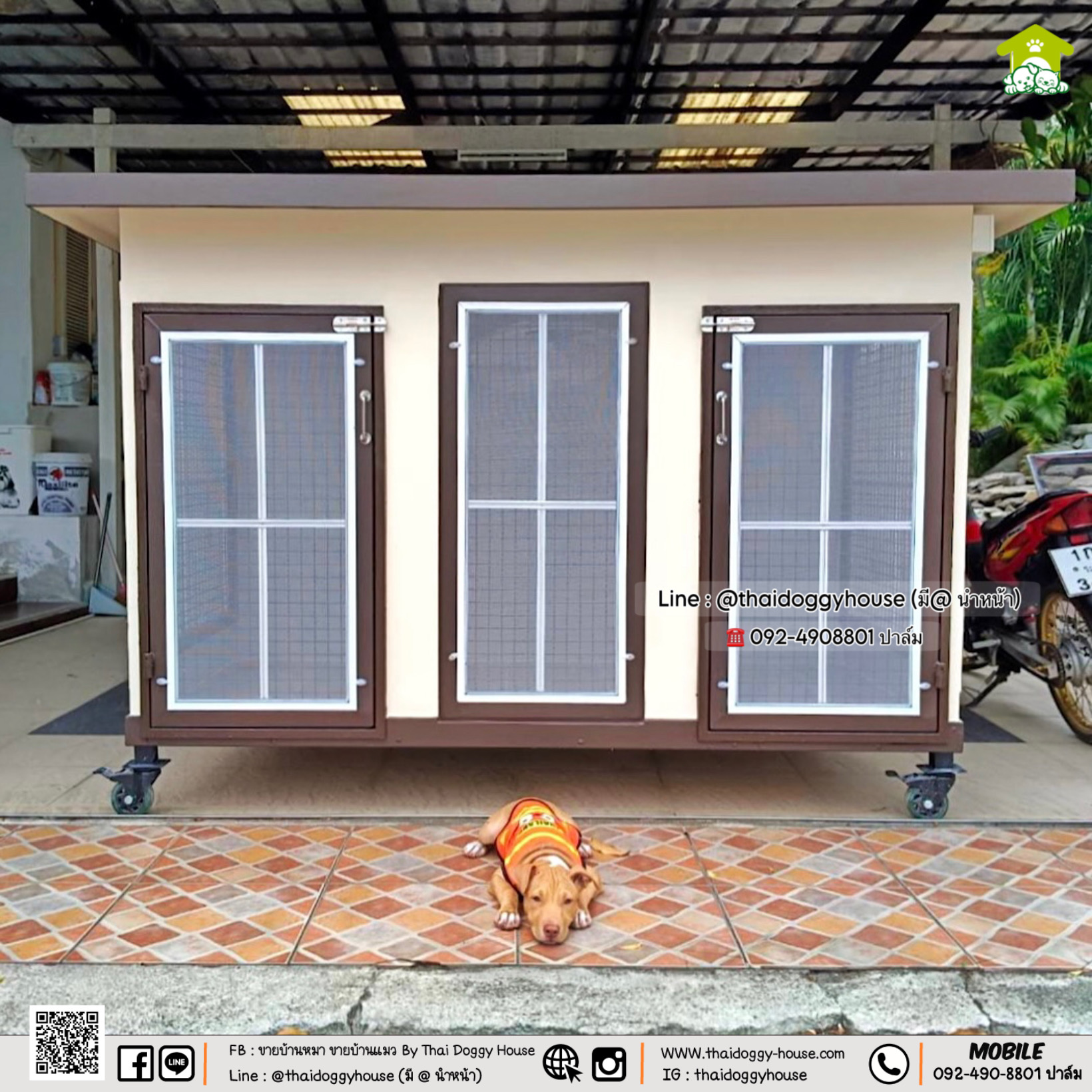 บ้านหมา บ้านแมว " 𝐁𝐎𝐗 𝐒𝐓𝐘𝐋𝐄 𝐁𝐘 𝐓𝐇𝐀𝐈 𝐃𝐎𝐆𝐆𝐘 𝐇𝐎𝐔𝐒𝐄 "