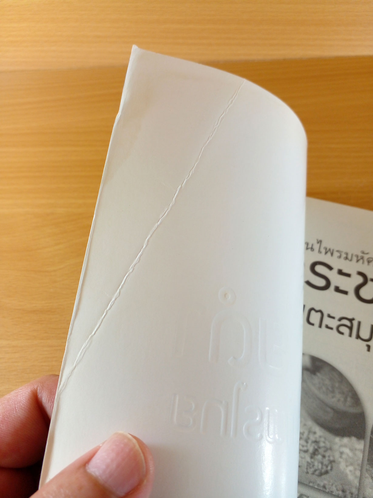 กระชายดำ อมตะสมุนไพรไทย