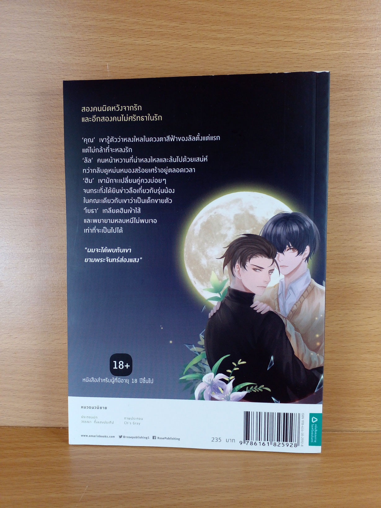Into the Moonlight... ณ พระจันทร์
