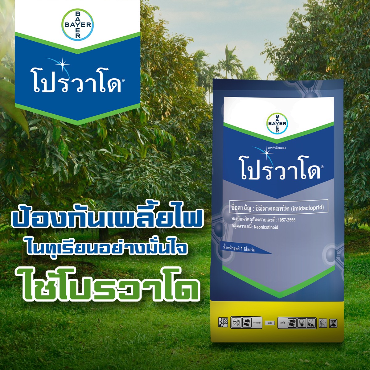 โปรวาโด 10g. อิมิดาโคลพริด สารกำจัดแมลง กำจัดเพลี้ยไฟ เพลี้ยอ่อน เพลี้ยแป้ง เพลี้ยกระโดด แมลงหวี่ขาว หนอนชอนใบ ดูดซึม
