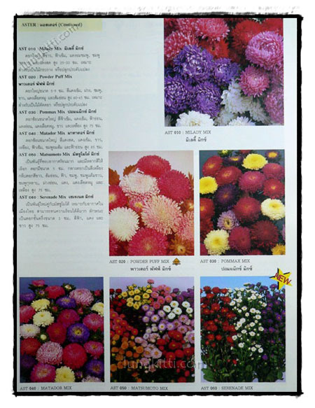 คู่มือเมล็ดพันธุ์ไม้ดอก (FLOWER SEED CATALOGUE) 021331