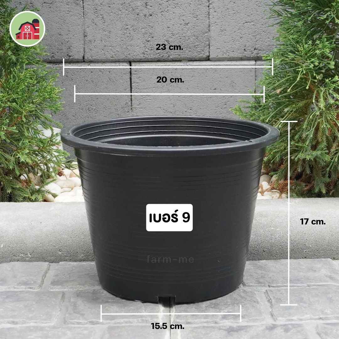 กระถางต้นไม้ กลมดำ เบอร์9