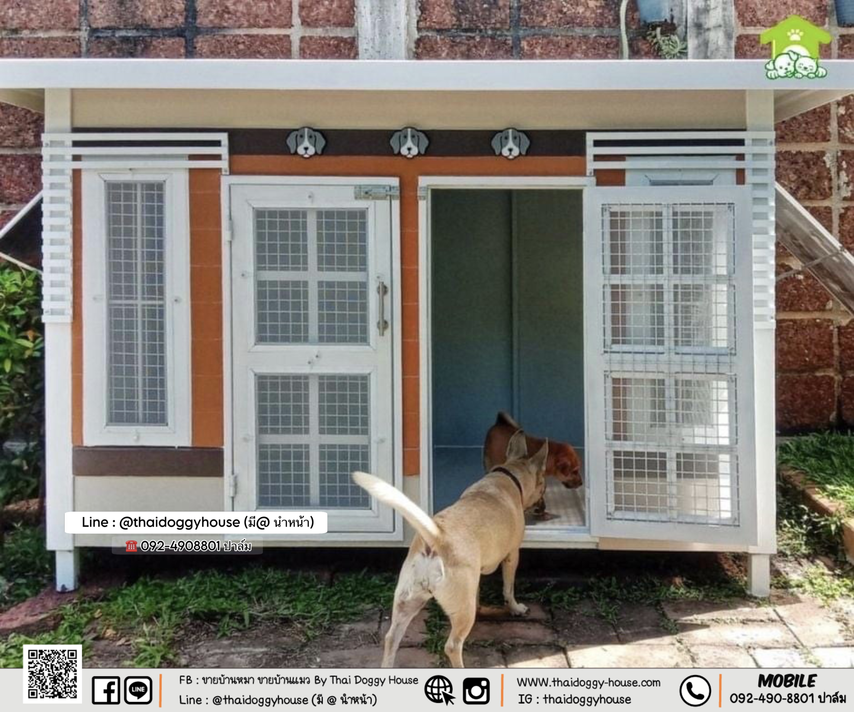 บ้านหมา บ้านแมว 𝐓𝐡𝐚𝐢 𝐝𝐨𝐠𝐠𝐲 𝐡𝐨𝐮𝐬𝐞 แบบบ้าน "𝗕𝗼𝘅 𝗦𝘁𝘆𝗹𝗲