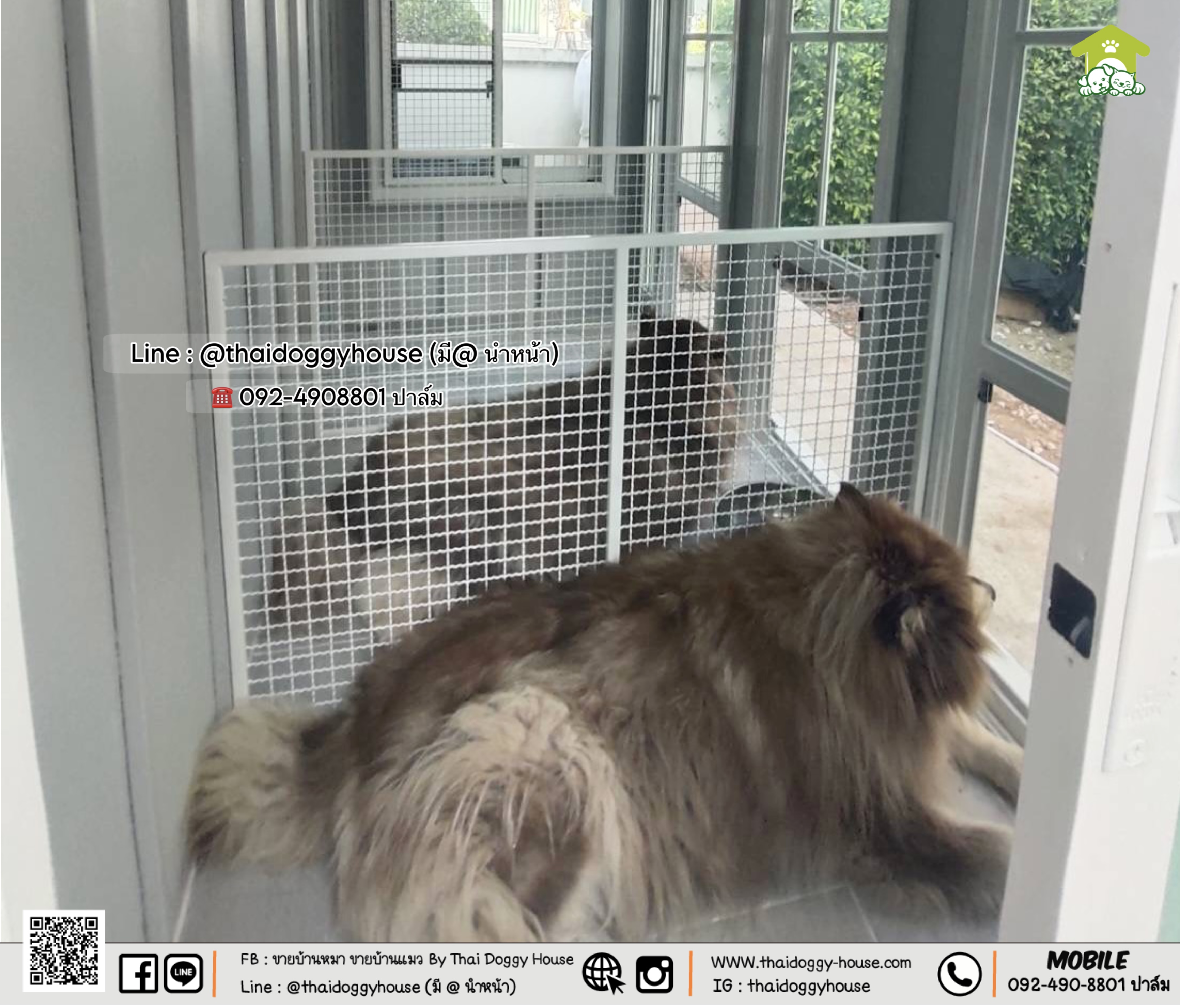 🏡 บ้านหมา บ้านแมว " 𝐁𝐎𝐗 𝐒𝐓𝐘𝐋𝐄 𝐁𝐘 𝐓𝐇𝐀𝐈 𝐃𝐎𝐆𝐆𝐘 𝐇𝐎𝐔𝐒𝐄