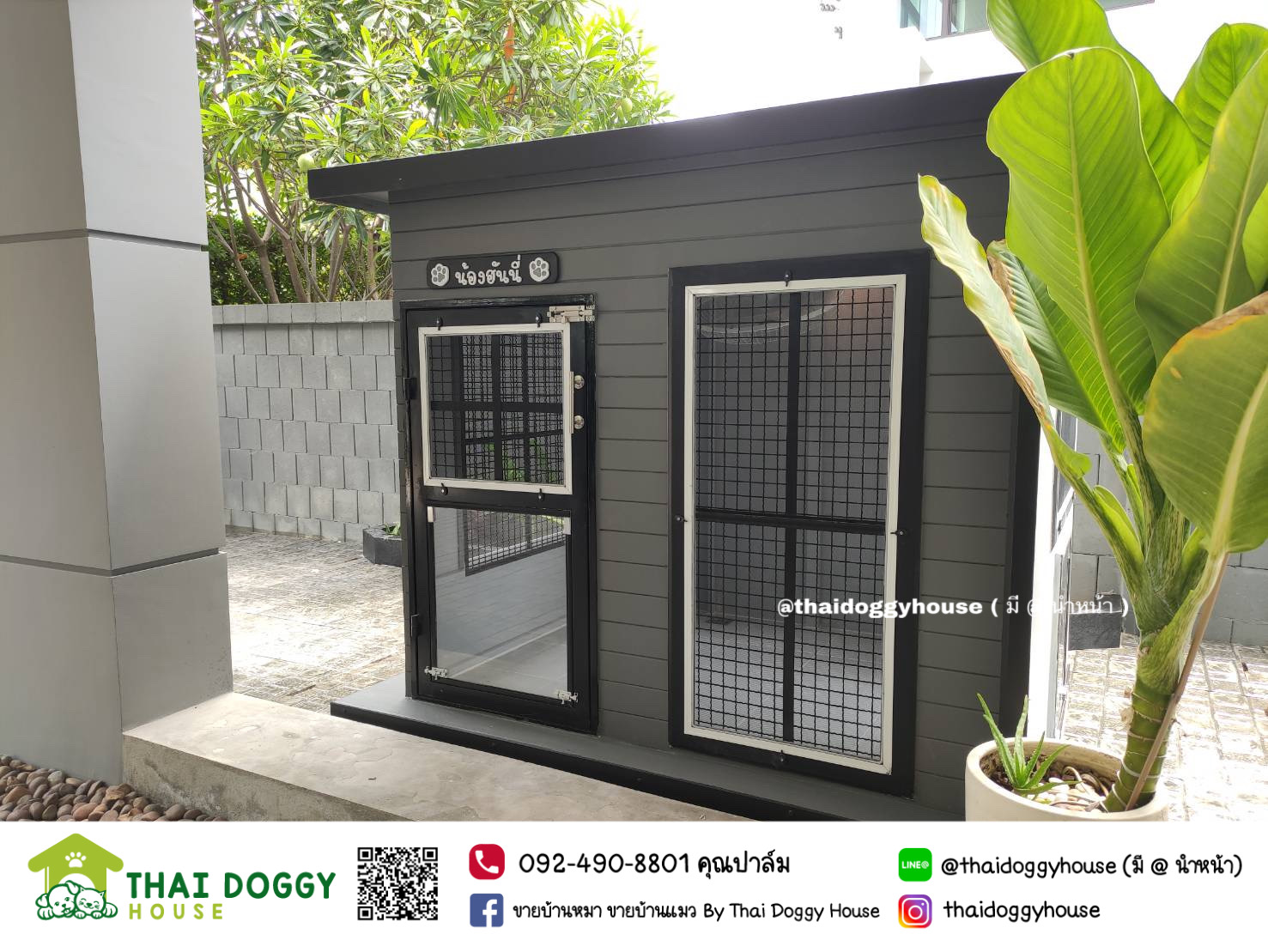 บ้านหมา บ้านแมว " BOX STYLE" ดีไซน์ทันสมัย แบบขายดี🐶😽