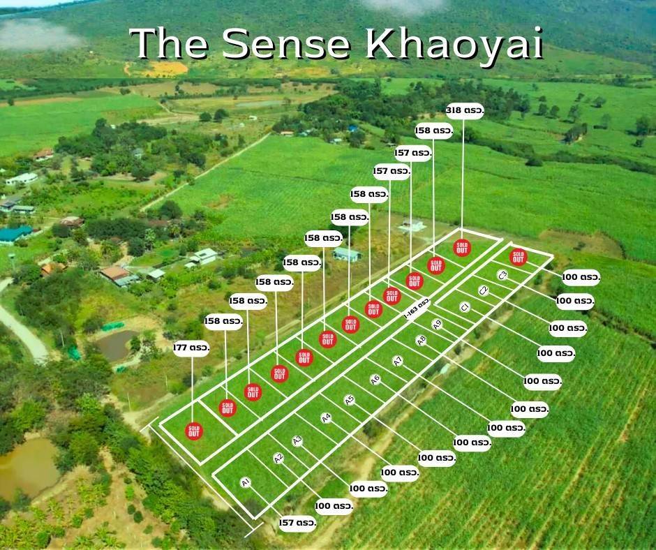 ที่ดิน The Sense เขาใหญ่