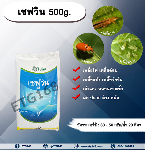เซฟวิน 500g. คาร์บาริล สารกำจัดแมลง เพลี้ยไฟ เพลี้ยอ่อน เพลี้ยแป้ง เพลี้ยจักจั่น เต่าแตง หนอนเจาะ มด ปลวก ด้วง หมัด