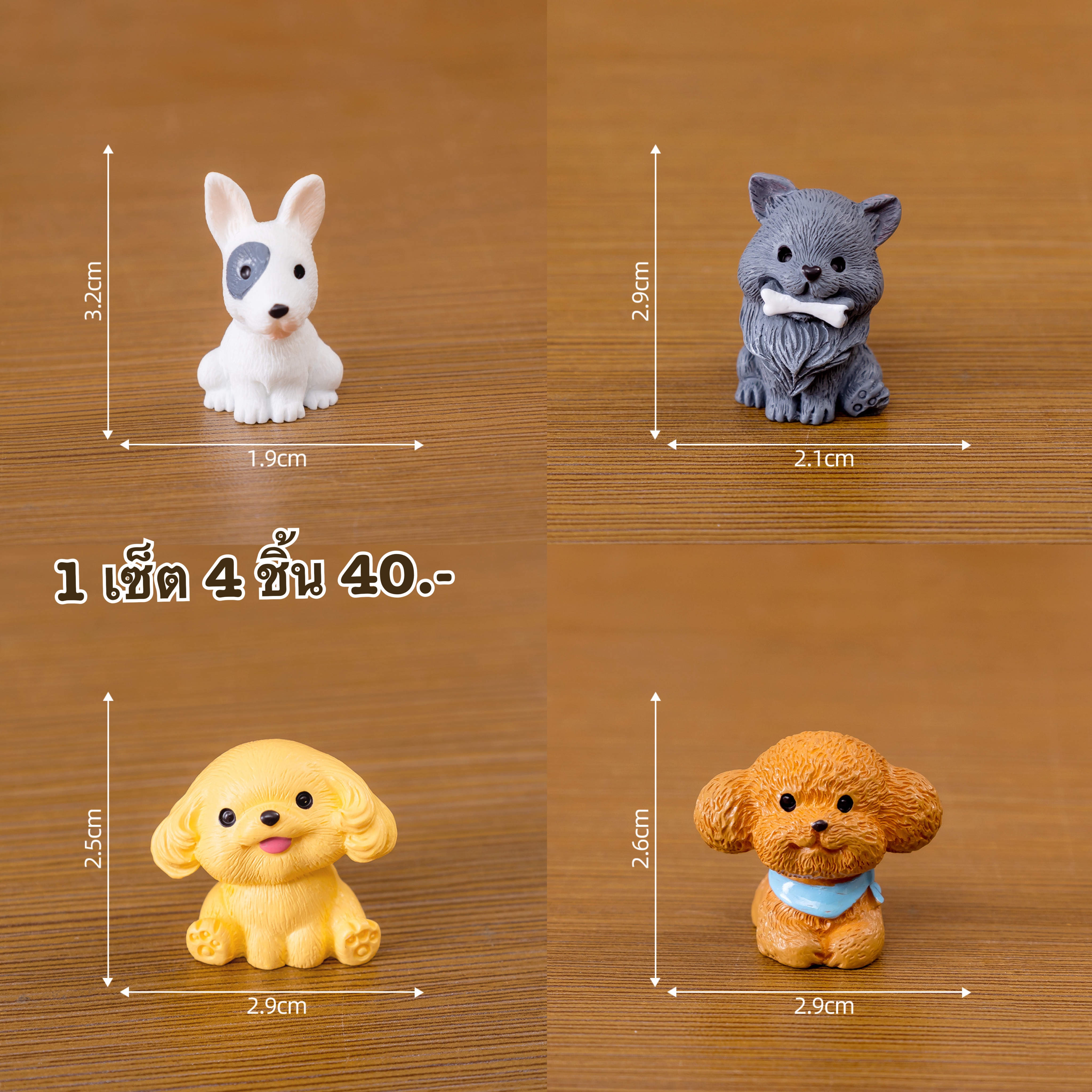 หมา 4 ชิ้น